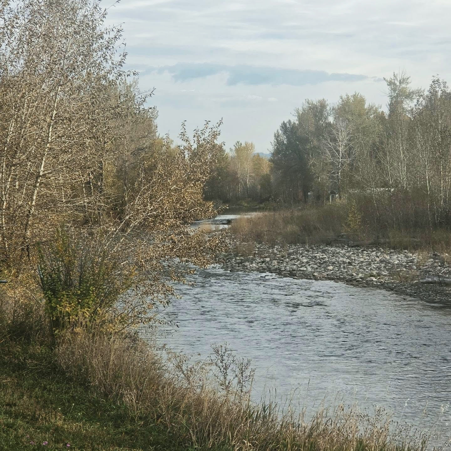 A quiet river and mountain view from Zach’s Montana archive